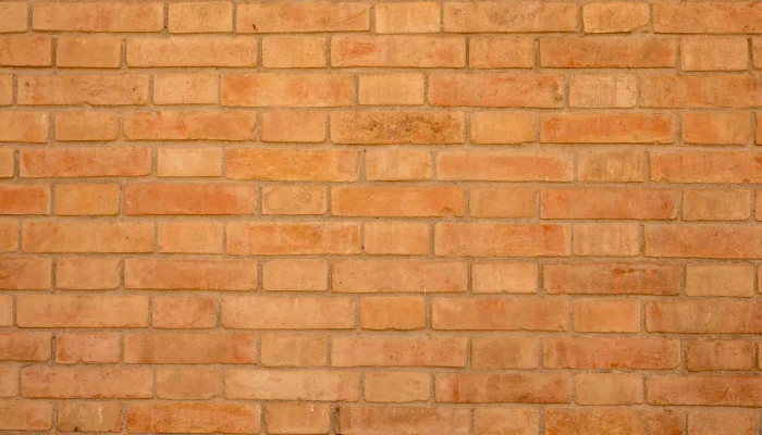 Standard & Custom Bricks